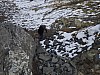 fMonne-27-10_34.jpg