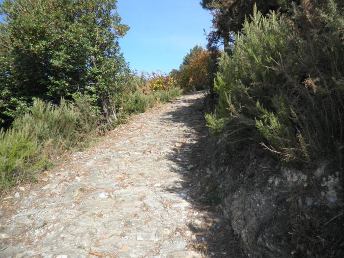 402-ligurie-2009.jpg