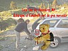 06-campbielh_01.jpg