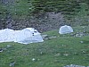 06-campbielh_04.jpg