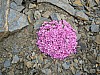 06-campbielh_18.jpg