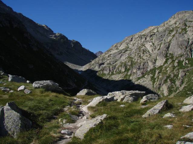 13-gavizocristail-04.jpg