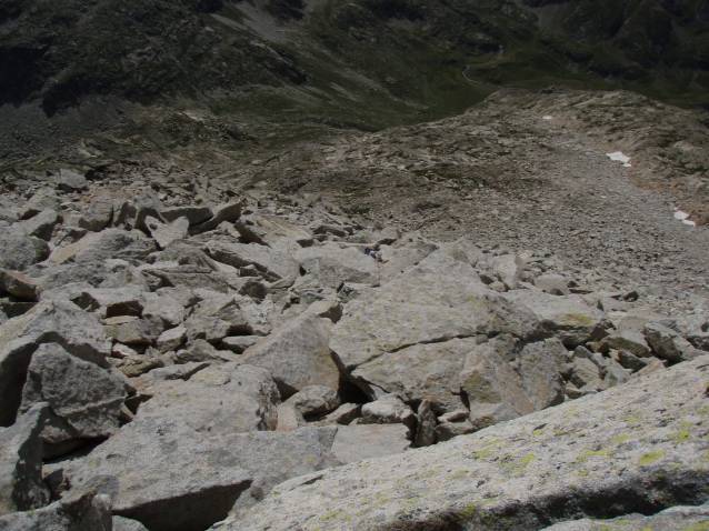 13-gavizocristail-07.jpg