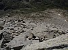 13-gavizocristail-07.jpg