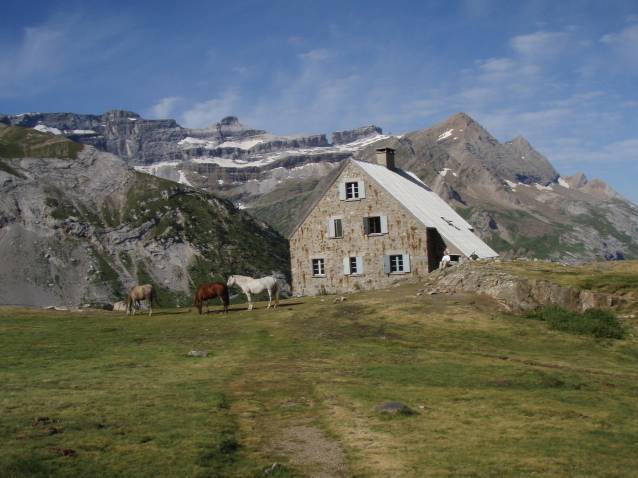 pimene_06.jpg