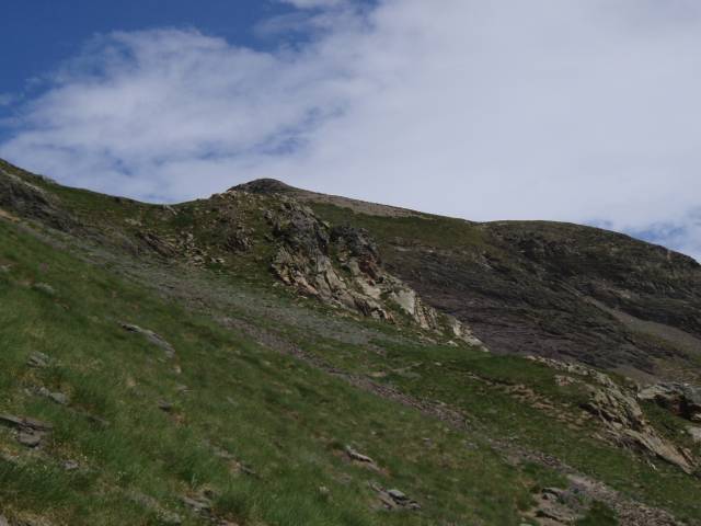 pimene_07.jpg
