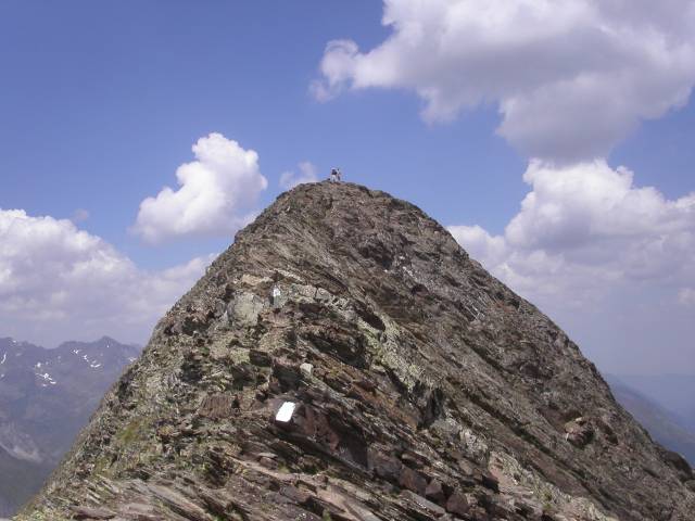 pimene_09.jpg