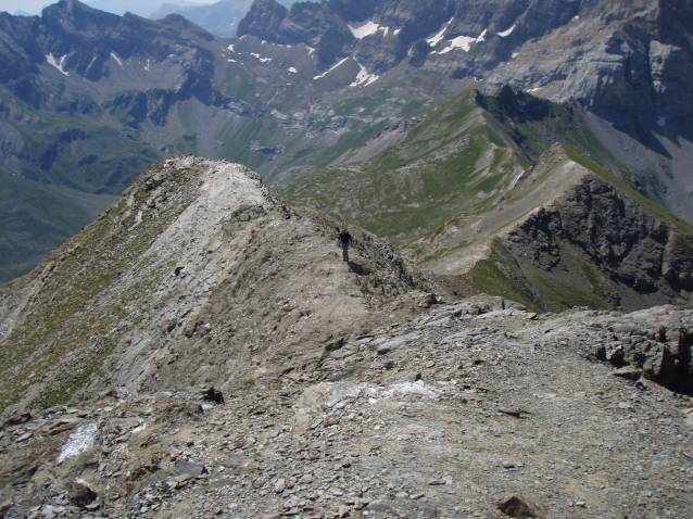 pimene_10.jpg