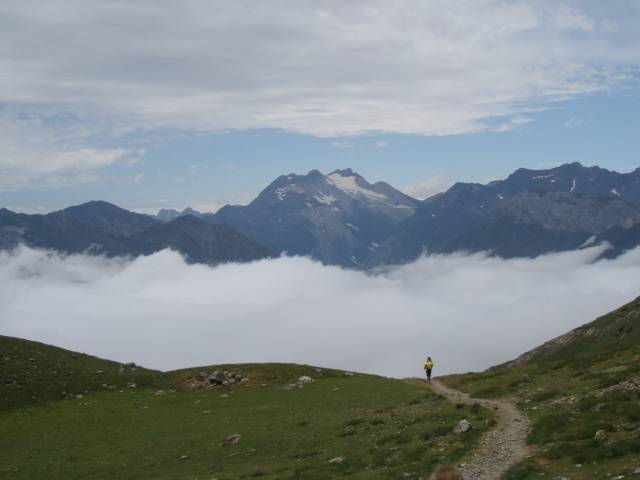 pimene_21.jpg