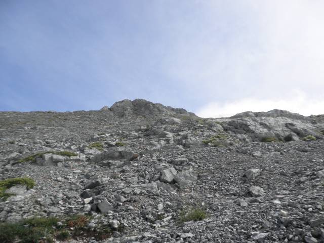 2010-py-anie_11.jpg