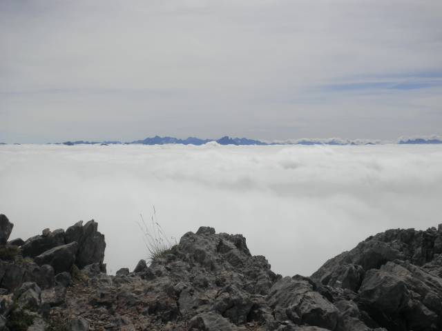 2010-py-anie_13.jpg