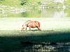 2010-py-leviste-_03.jpg