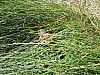 2010-py-leviste-_06.jpg