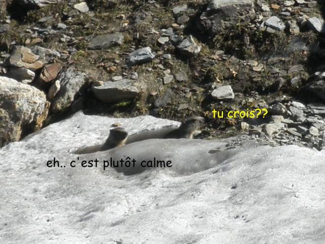 J2-rando-SEP_30.jpg
