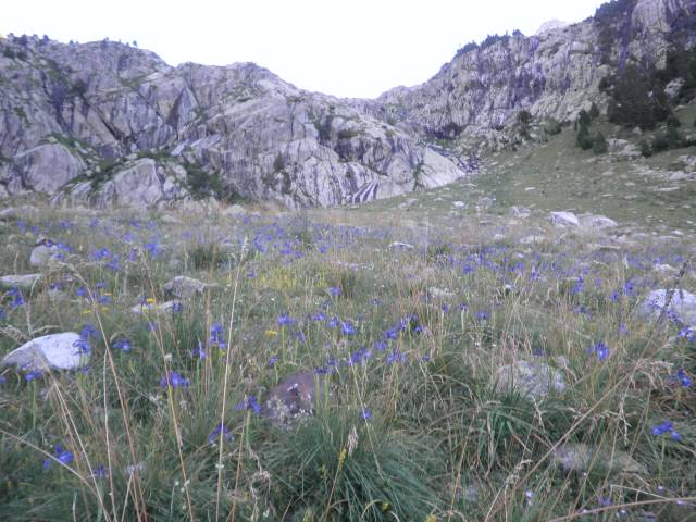 J3-rando-SEP_04.jpg