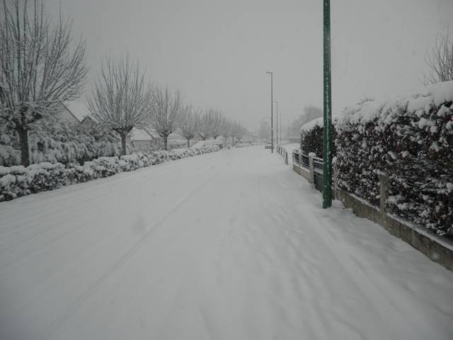 19-dec-2010-02.jpg