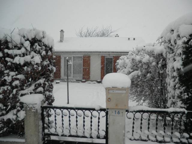 19-dec-2010-03.jpg