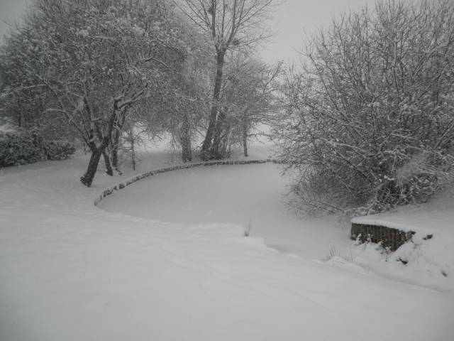 19-dec-2010-05.jpg
