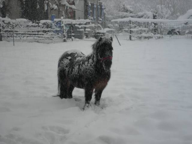 19-dec-2010-07.jpg