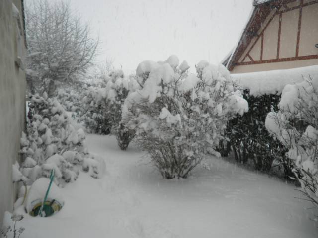 19-dec-2010-17.jpg