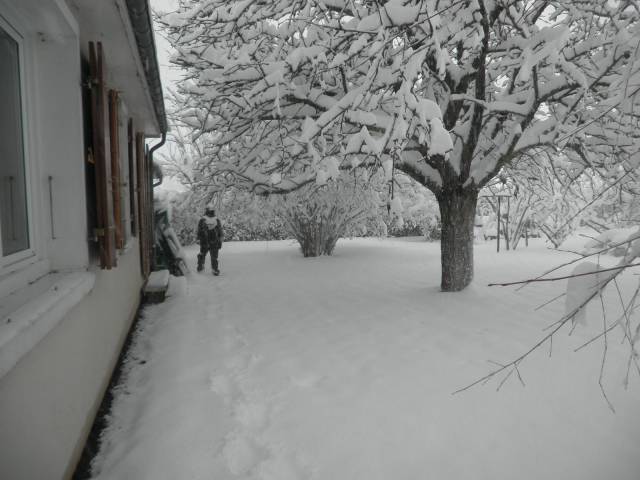 19-dec-2010-19.jpg