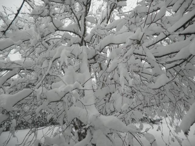 19-dec-2010-20.jpg