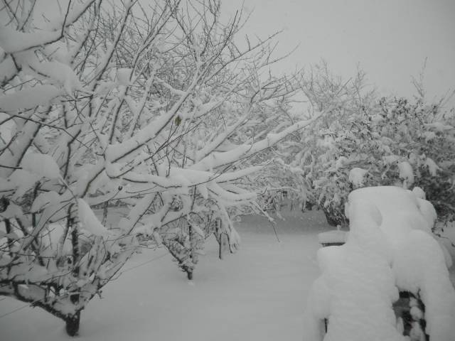 19-dec-2010-21.jpg