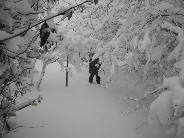 19-dec-2010-22.jpg