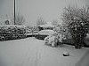 19-dec-2010-01.jpg