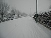 19-dec-2010-02.jpg