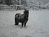19-dec-2010-07.jpg
