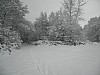 19-dec-2010-12.jpg