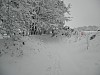 19-dec-2010-13.jpg