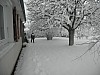 19-dec-2010-19.jpg