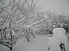 19-dec-2010-21.jpg