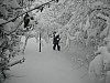 19-dec-2010-22.jpg