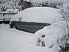 19-dec-2010-24.jpg