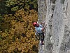 cormot-52.jpg
