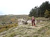 cormot-53.jpg