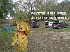 cormot-70.jpg