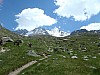 paradis_08.jpg
