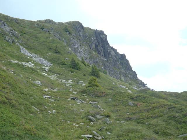 posettes_11.jpg