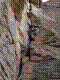 cormot-BMB-05.jpg