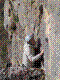 cormot-FP-03.jpg
