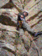 cormot-olivier-06.jpg