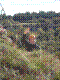 cormot-sexto-04.jpg