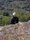 cormot-12.jpg