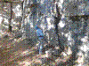 cormot-13.jpg