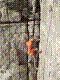 cormot-16.jpg
