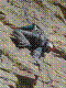 cormot-22.jpg